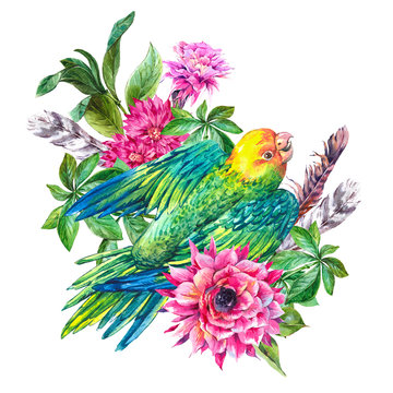 Tropical watercolor vintage greeting card with pink flowers and green parrot.