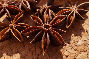 Popular spice commonly called star anise, staranise, star anise seed, Chinese star anise, or badiane (Illicium verum).