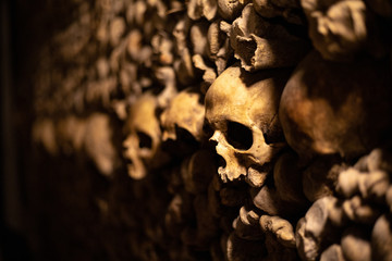Skulls of the catacombs - obrazy, fototapety, plakaty