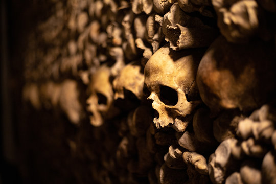 Skulls of the catacombs