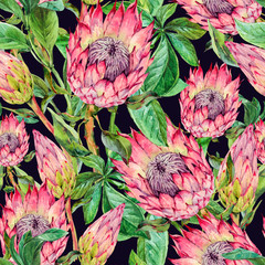 Tropical watercolor seamless pattern of protea flowers. Exotic pink bouquet, twigs and leaves