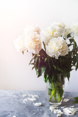 Bunch of amazing peonies in the vase on white wall background