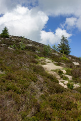 Landscape of the side of Bennachie, Scotland