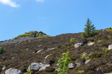 Fototapeta na wymiar Landscape of the side of Bennachie, Scotland