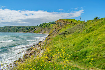 The crumbling rocky shore at Peveril Point, Swanage on a bright June day