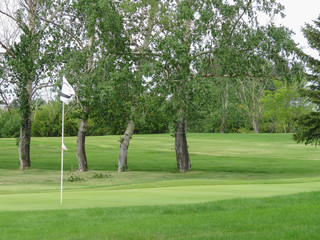 A horizontal photo of a baeutiful golf course .
