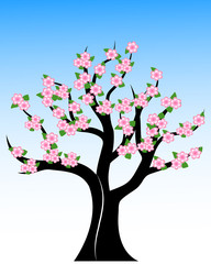 Cherry blossom tree illustration. Sakura tree vector EPS10.