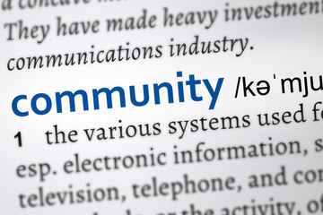 Dictionary definition of the word community