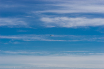Fototapeta premium plane in the sky