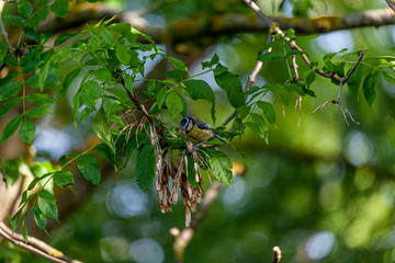Fototapete bei efototapeten.de bestellen   