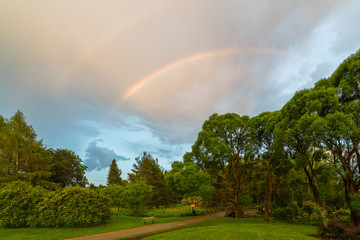 Naklejka premium rainbow over park