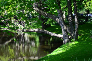 Fototapeta na wymiar canal in the forest