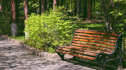 wooden bench in the park
