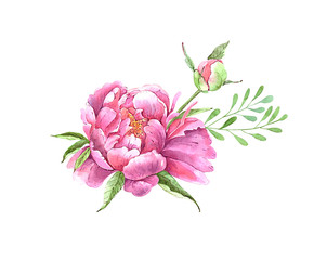 bouquet of watercolor flowers pink peonies