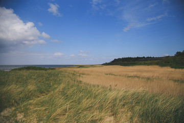 North sea beach