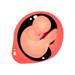 Cute baby in interior of mother tummy ready for birth