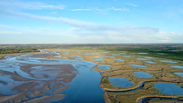 Baie de Somme et d'Authie dans le Marquenterre
