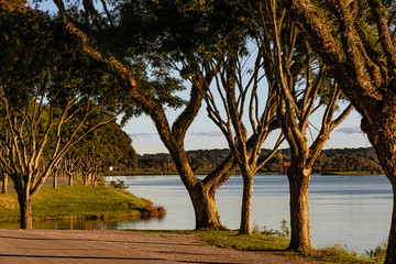 Obraz premium Quiet sunset along the river between the trees