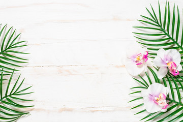 Tropical palm leaves and orchid flowers. 