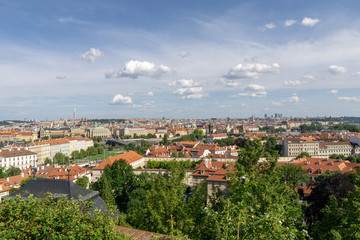 Fototapeta na wymiar Red roofs of houses in Prague with green foliage of trees. View of the city in the summer.