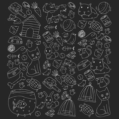 Pet shop. Vector illustration with animals, dog, cat, fish, Colorful background with kitten, bird, puppy. Veterinarian clinic.