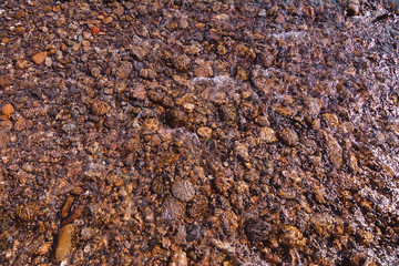shallow river water
