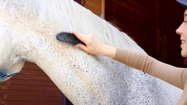 Girl grooming horse in the outdoors.