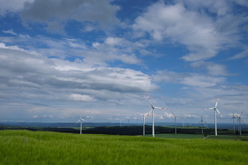Fototapeta na wymiar Windpark bei Düngenheim-Gamlen in der Eifel - Stockfoto