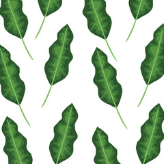 ecology leafs plants and branches nature pattern