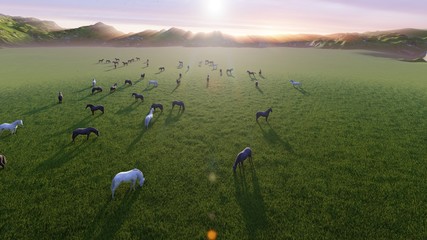 Naklejka na ściany i meble A herd of young horses graze on a picturesque green meadow on a beautiful summer morning. 3D Rendering