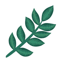 branch with leafs plants icon