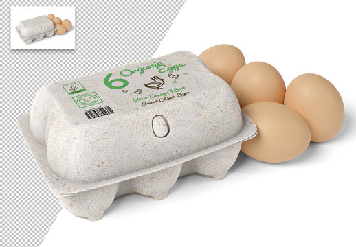 Download 456 Best Egg Carton Mockup Images Stock Photos Vectors Adobe Stock