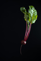 gourd on a black background