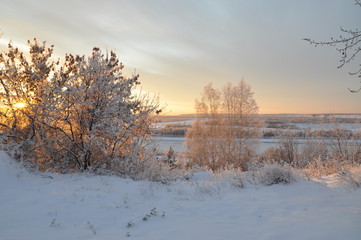 Siberian winter landscape at sunset