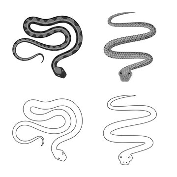 Vector illustration of mammal and danger logo. Collection of mammal and medicine stock symbol for web.