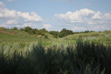 landscape with river