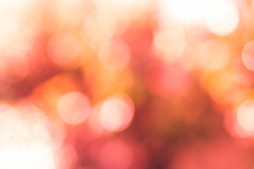 Abstract blur natural background, coral and orange. Design backdrop.