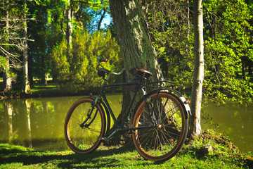 Vélo vintage adossé à un tronc d'arbre