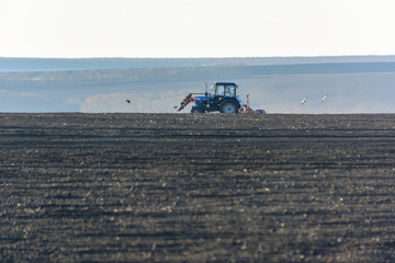 Fototapeta premium Farm Tractor with plow in a field on a Farm in the sunny day. Farmer in tractor preparing land. It is the season of plowing. Copy space.