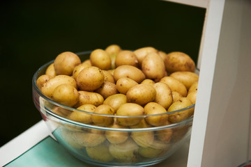 Raw new potatoes in a glass bowl on kitchen shelf