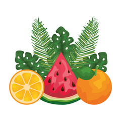Fototapeta premium orange and watermelon with leafs palms