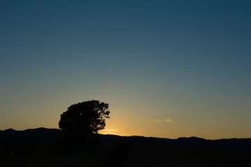 晴れた夕暮れの空　美瑛町