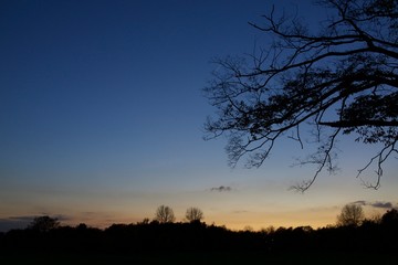 Naklejka premium paisaje al atardecer