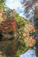 秋の養老渓谷の中瀬遊歩道の風景
