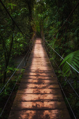 Hanging Rope Bridge on the Rio Celeste Hike