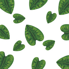ecology leafs plants nature pattern