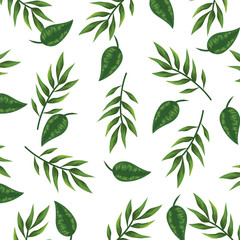 Naklejka na ściany i meble ecology leafs plants and branches nature pattern