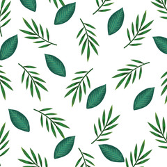 ecology leafs plants and branches nature pattern