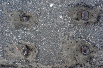 Background with reinforcement on asphalt road