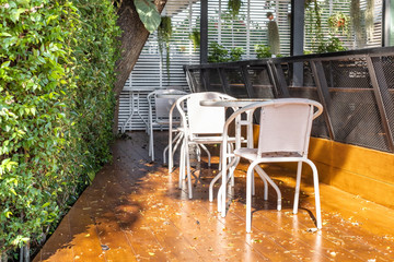 Empty steel table and chair under big tree in cafe and restaurant.